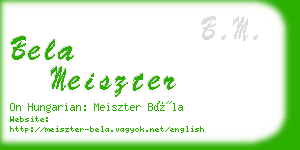 bela meiszter business card